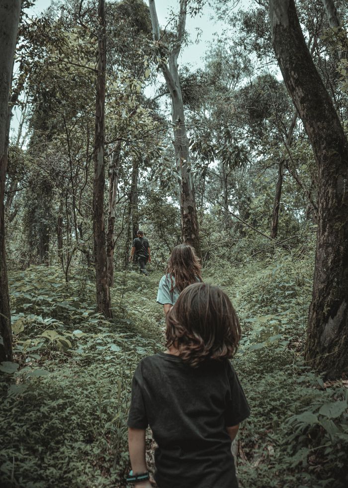 Family group on a hiking adventure walking along a lush forest path in summertime.